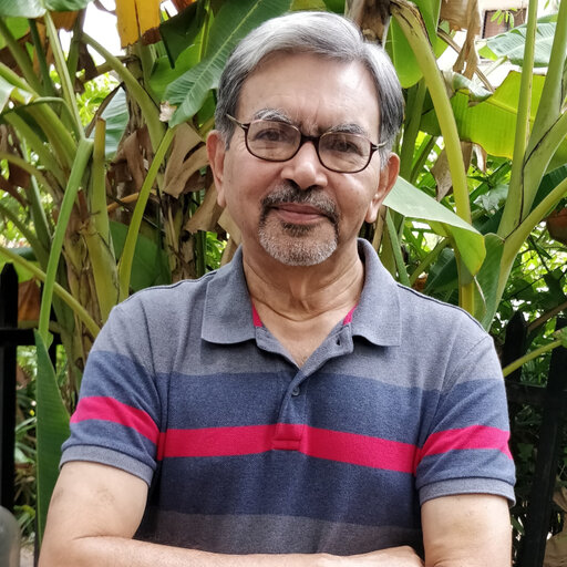Prof.Peeyush Chandra